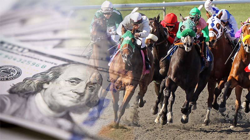 How to play horse racing betting