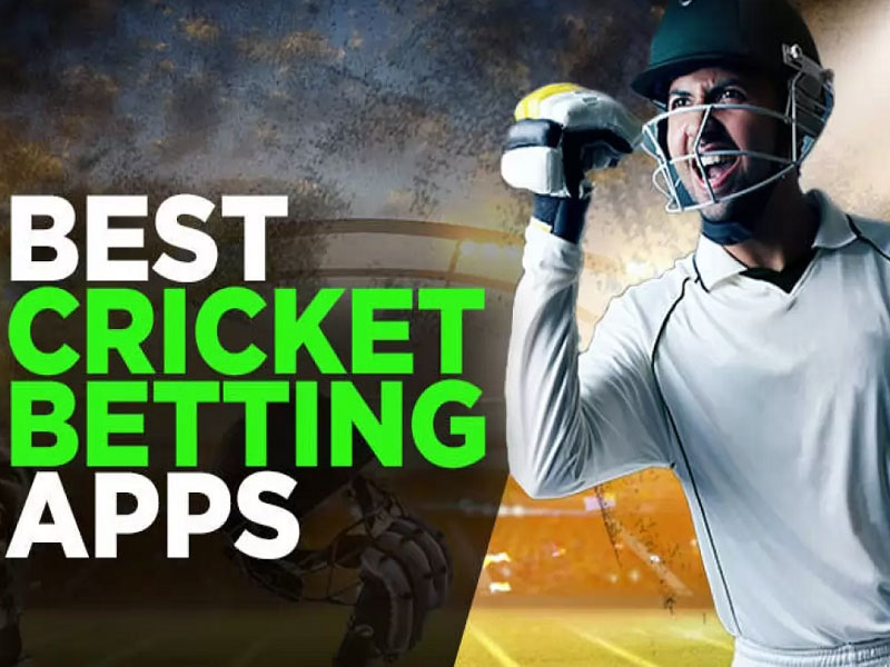 Learn about Cricket Betting App