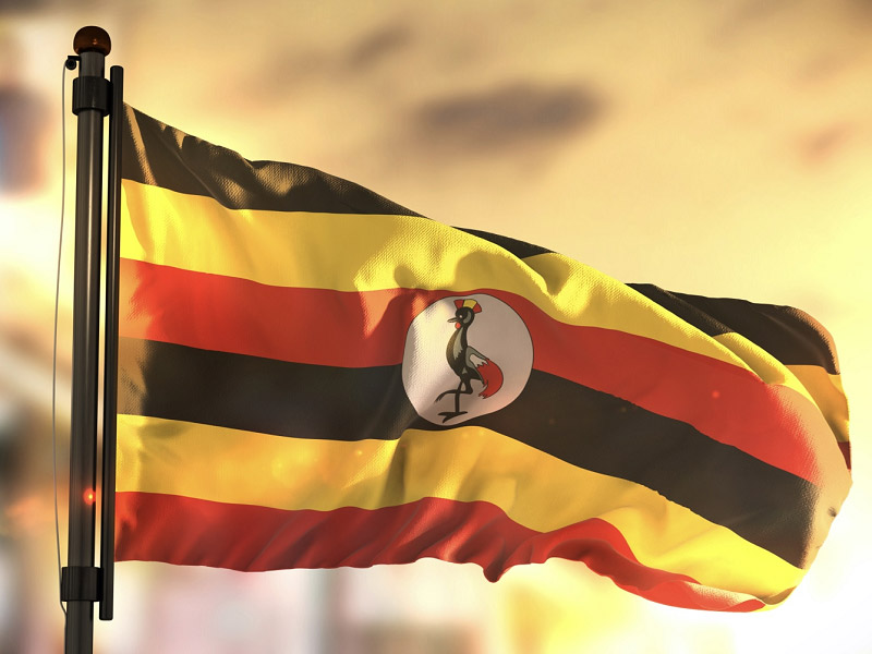 Learn about Uganda betting history