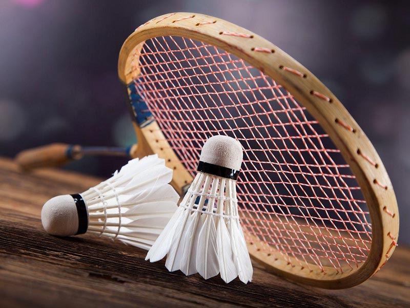 Learn about the history of badminton sports betting