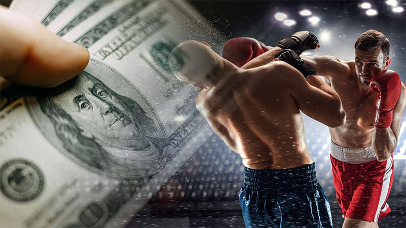 Steps to bet on boxing matches