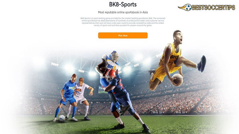 Fantasy sports betting sites: BK8