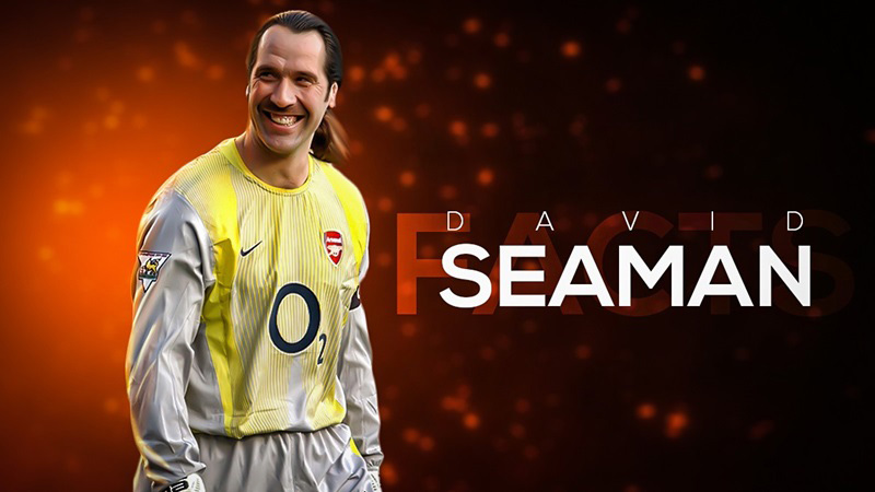 Ffamous soccer player quotes by David Seaman