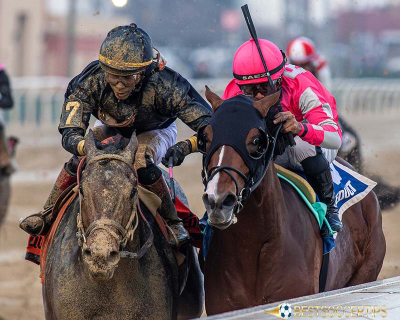 Knowledge about Preakness Future Bet