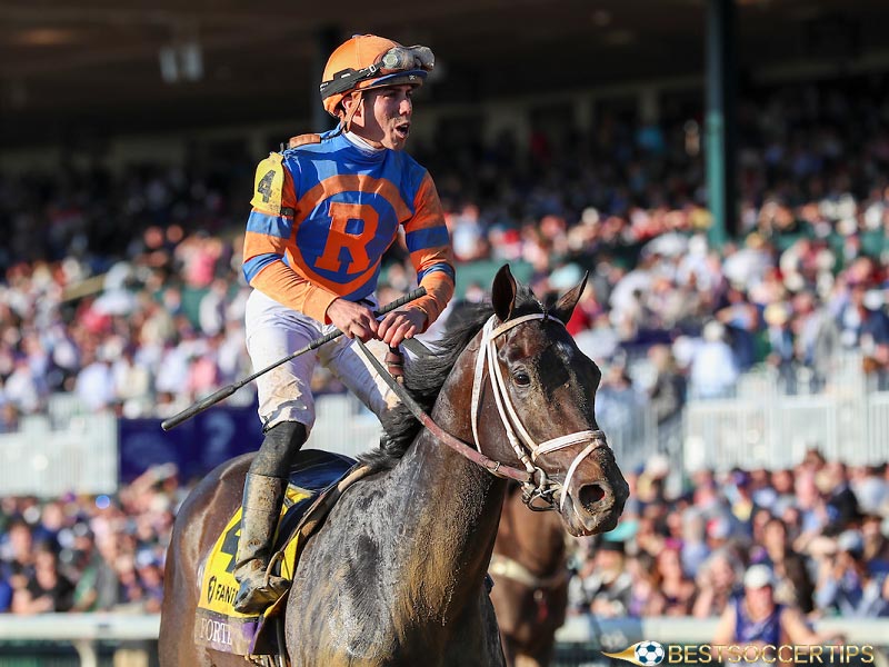Learn about preakness future bet