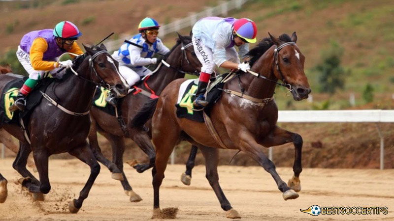 Horse racing betting strategy: Choosing a Horse