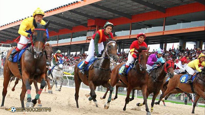 Horse racing bet strategy: Understanding Betting Odds