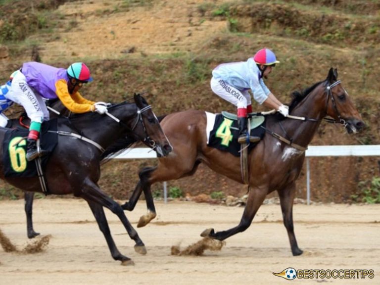 Harnessing Horse Racing betting strategies for success