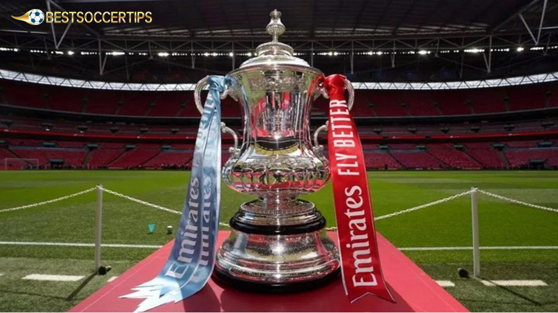 Most expensive sports trophy: FA Cup