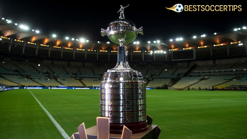 Most expensive sports trophy: Copa Libertadores Trophy