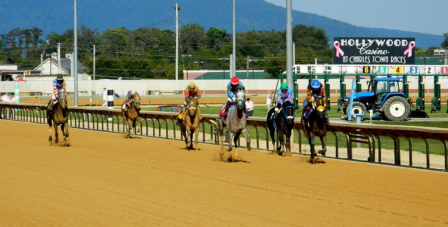 Rules of Online Horse Race Betting