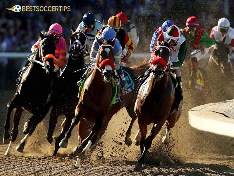 Learn about the horse racing betting rules you need to know