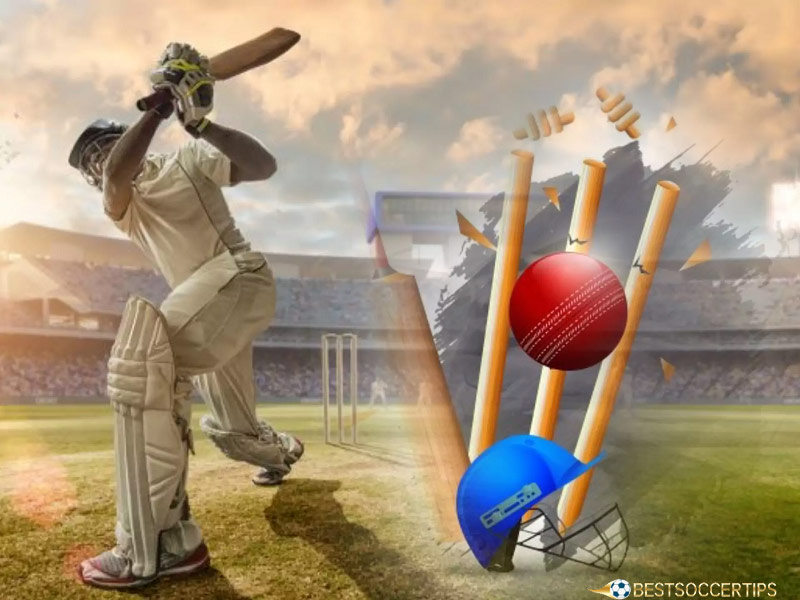 Learn about cricket betting tips
