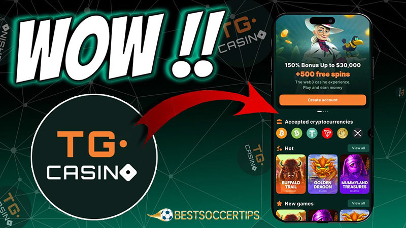 Rugby betting apps: TG Casino App