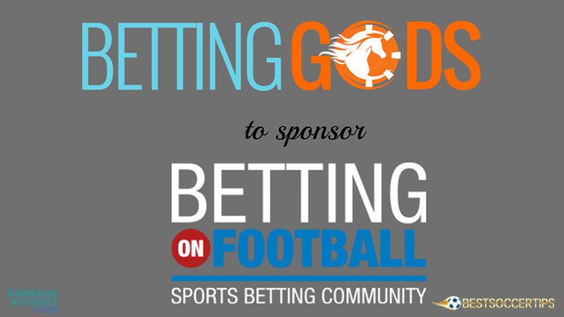 Sports betting training: Betting Gods