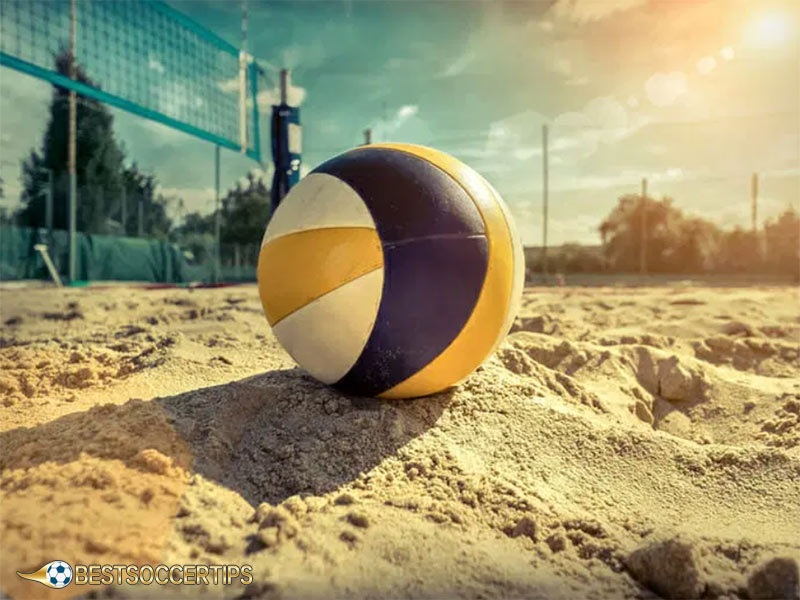 Top 5 highest quality volleyball betting apps today