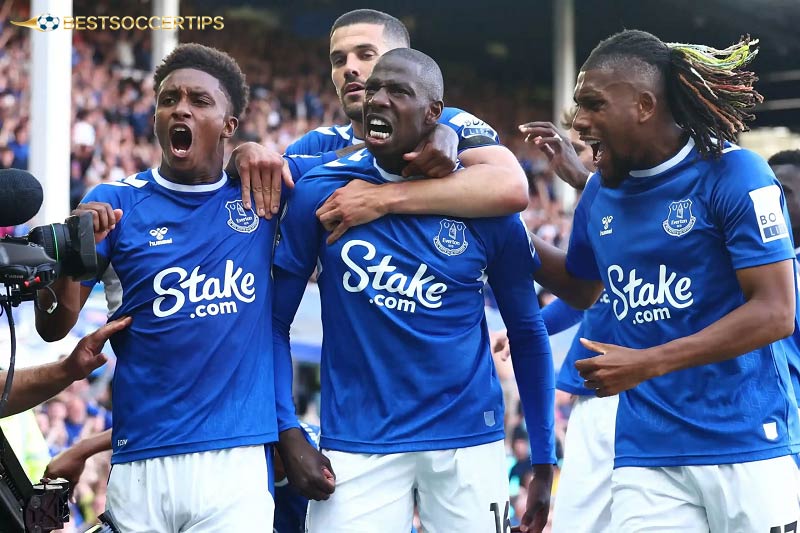 Everton - Most popular football teams in England