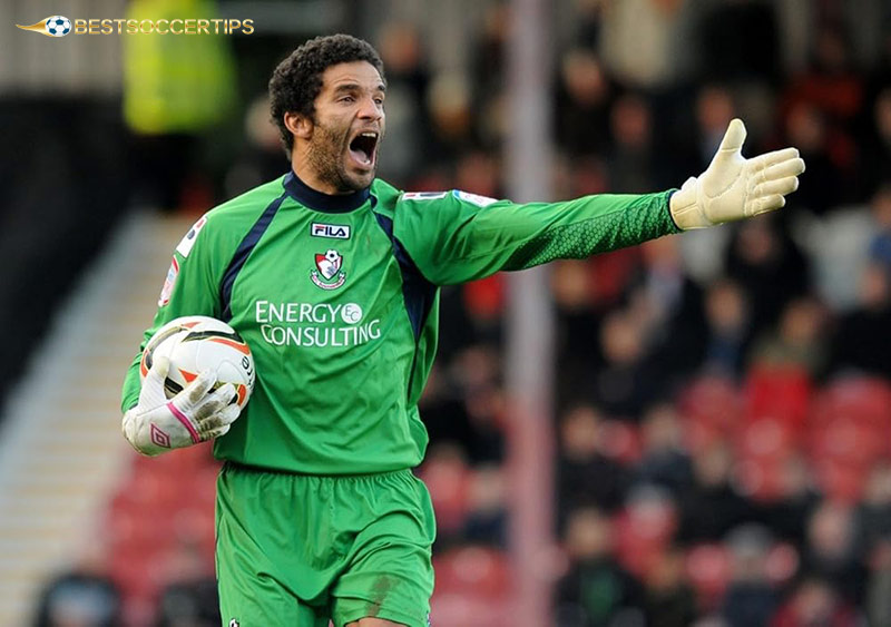 David James - The best goalkeeper in Premier League​