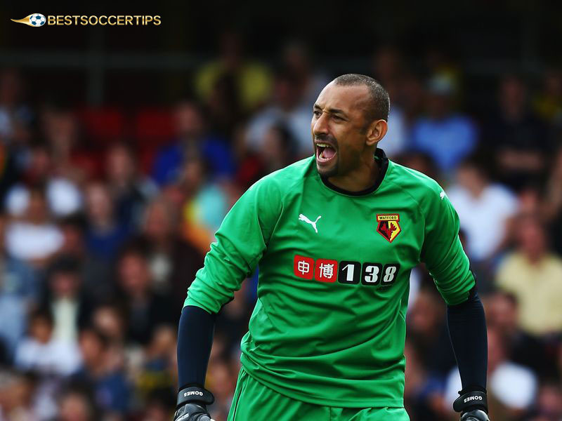 Who is the best goalkeeper in Premier League right now​ - Heurelho Gomes