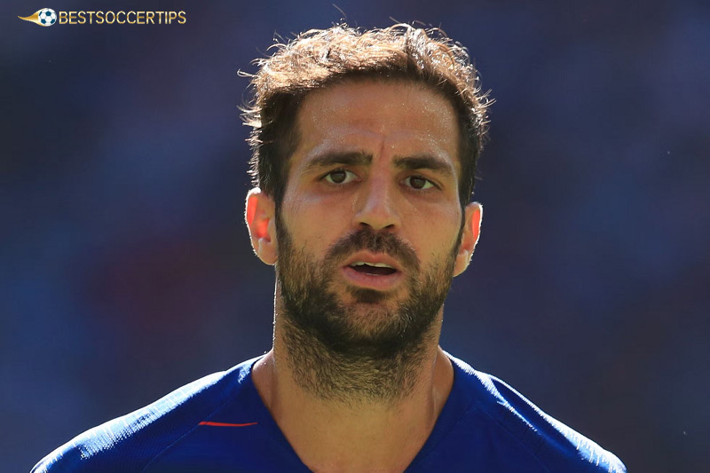 Cesc Fabregas - Top retired football players