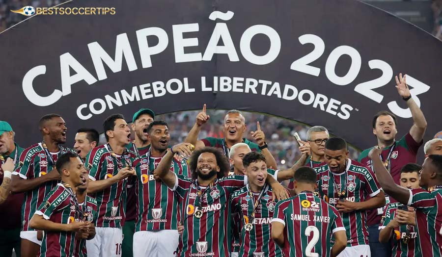 Fluminense owns a top youth academy, contributing to sustainable success