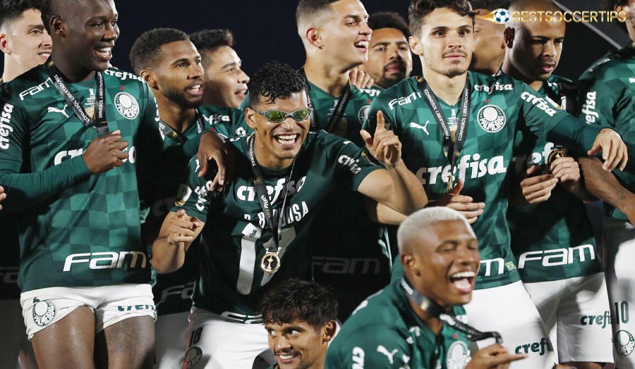 Palmeiras is a Brazilian football team born from the Italian community, carrying a sense of pride and national identity