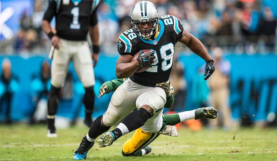 Jonathan Stewart in Oregon Ducks football gear